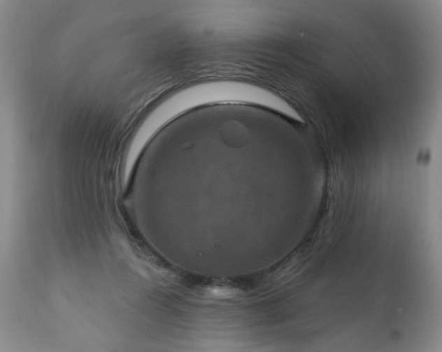 X0000111160360200906301406