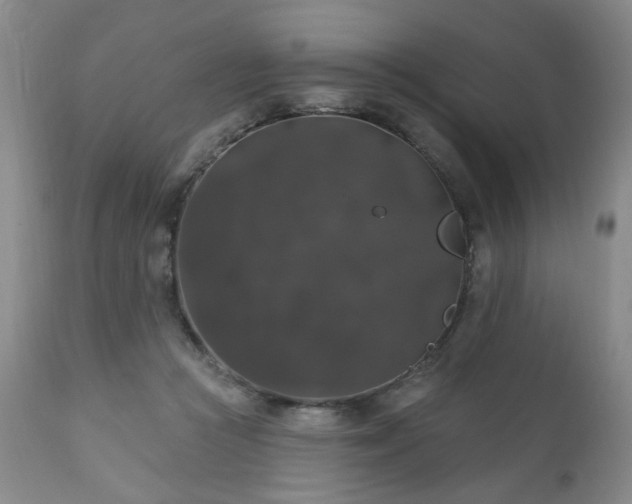 X0000111160361200906301406
