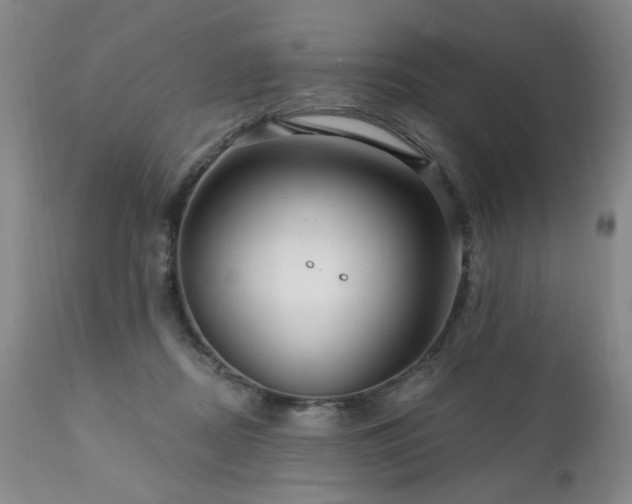 X0000111160362200906301406