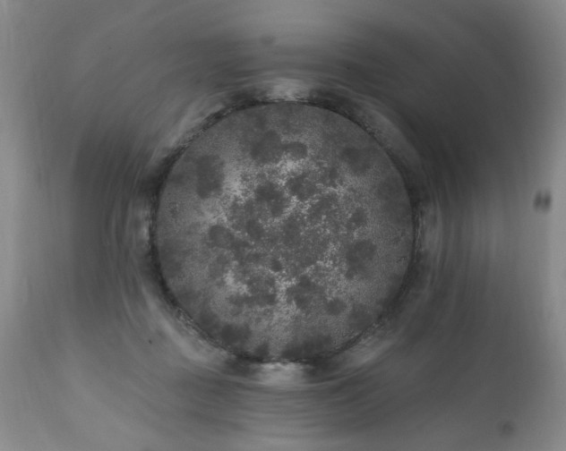 X0000111160363200906301406