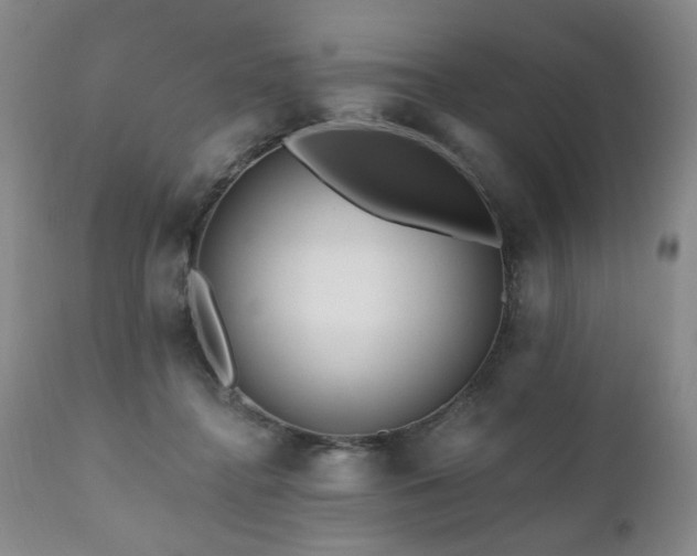X0000111160364200906301406