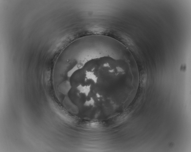 X0000111160365200906301406