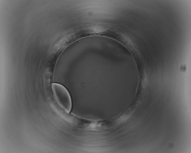 X0000111160366200906301406