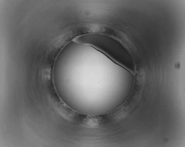 X0000111160368200906301406