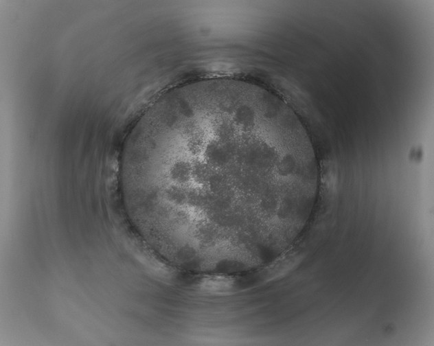 X0000111160369200906301406