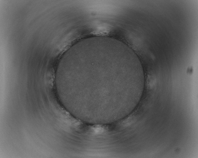 X0000111160370200906301406