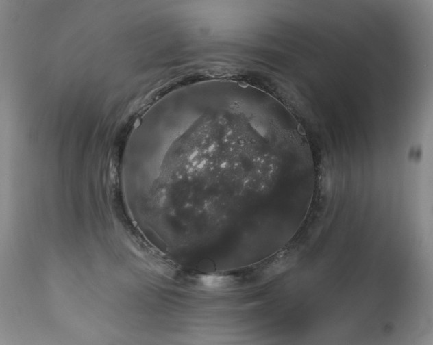 X0000111160371200906301406