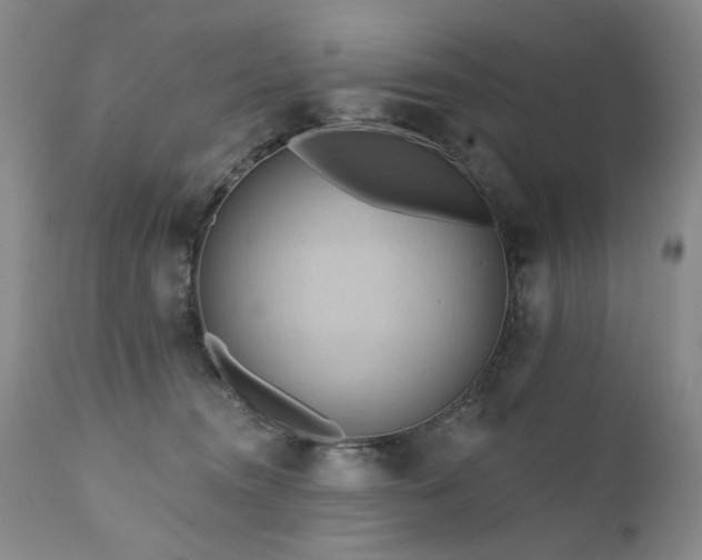 X0000111160372200906301406