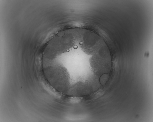 X0000111160373200906301406