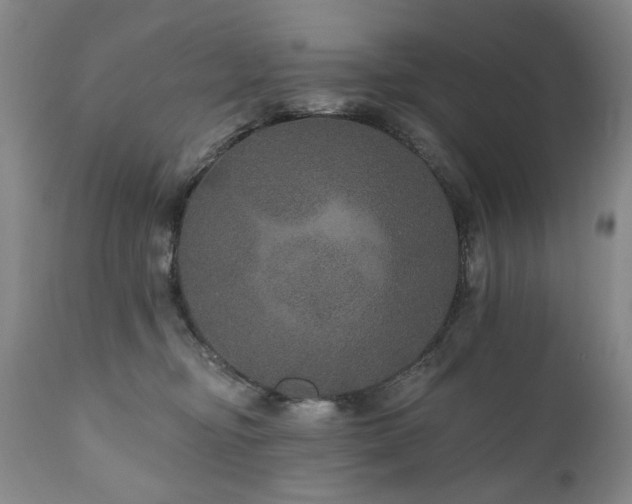 X0000111160374200906301406