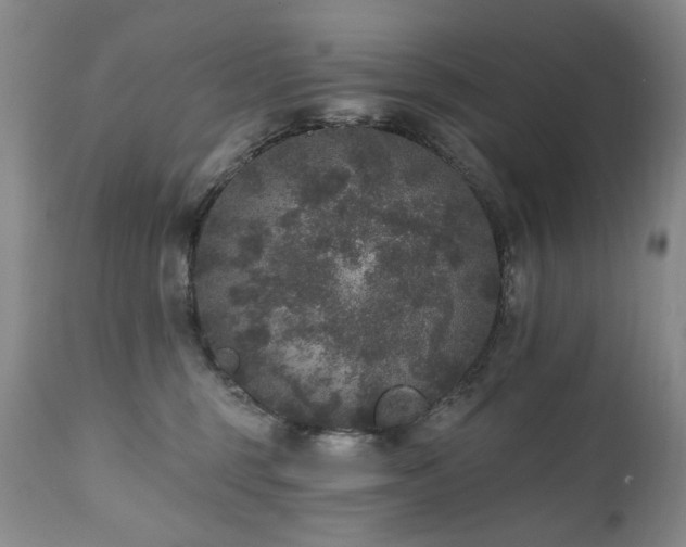 X0000111160375200906301406