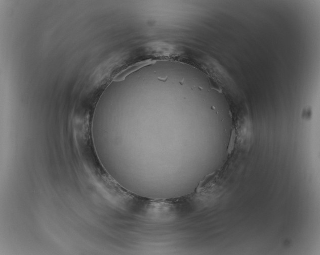X0000111160376200906301406