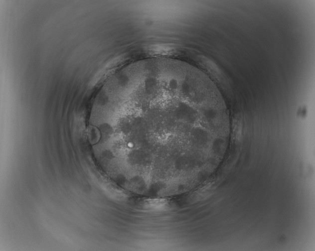 X0000111160377200906301406
