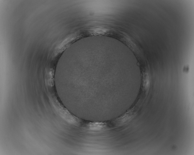 X0000111160378200906301406