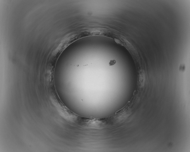 X0000111160379200906301406