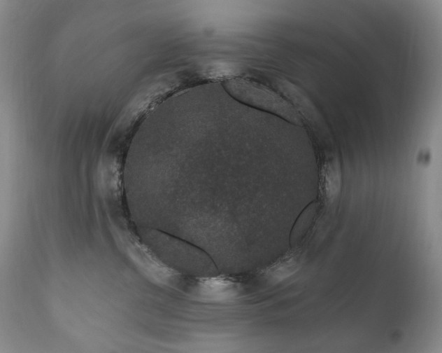 X0000111160380200906301406