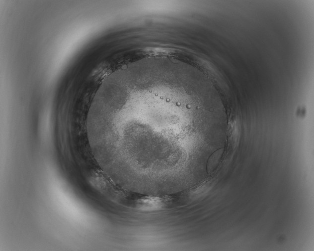 X0000111160381200906301406