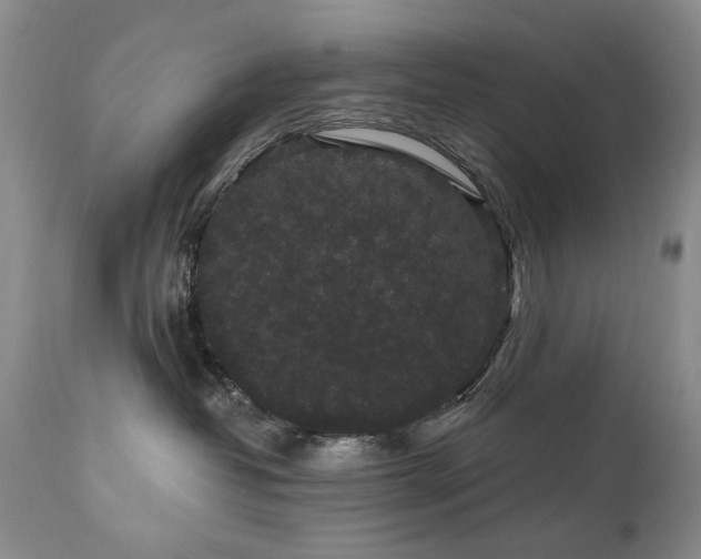 X0000111160382200906301406