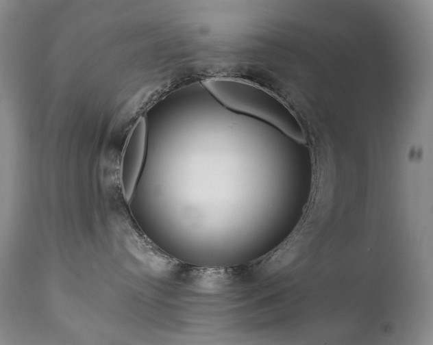 X0000111160384200906301406