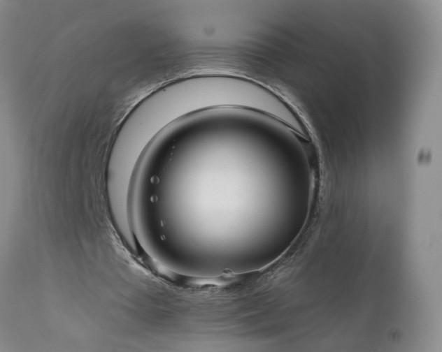 X0000111160385200906301406