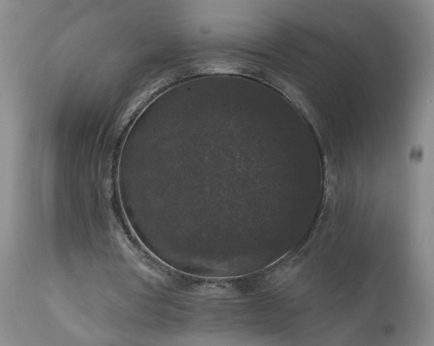 X0000111160386200906301406