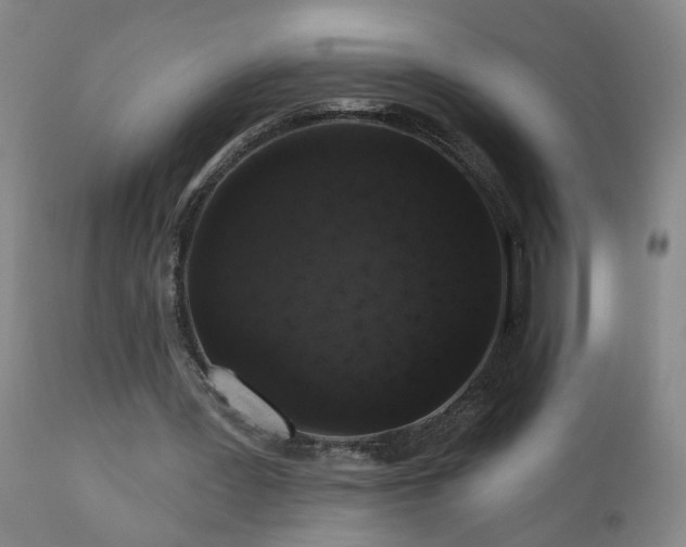 X0000111160387200906301406