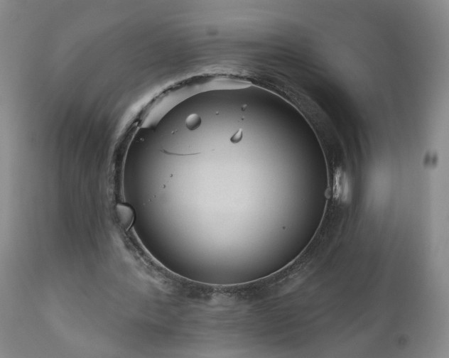 X0000111160388200906301406