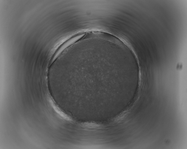 X0000111160389200906301406