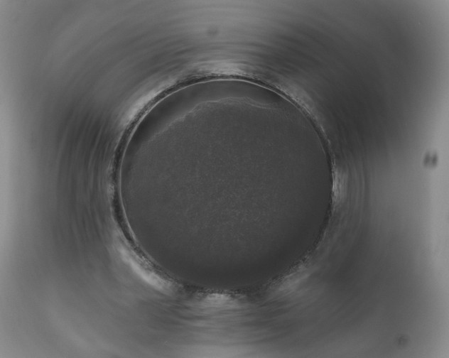 X0000111160390200906301405