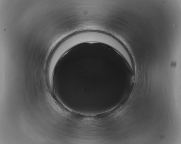 X0000111160391200906301405