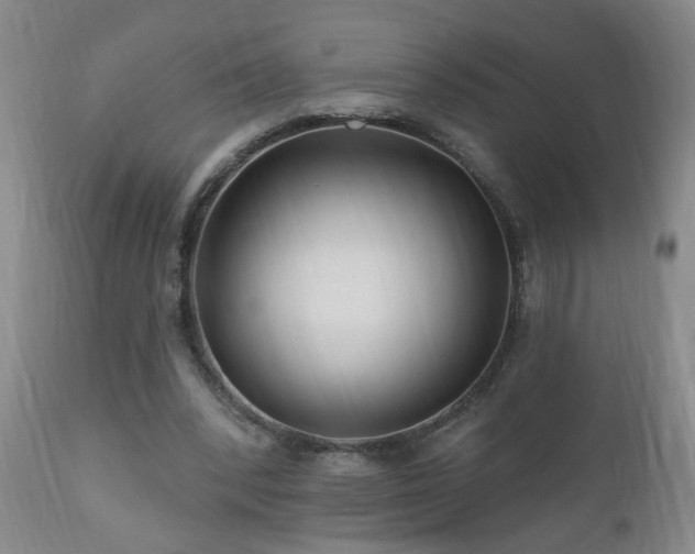 X0000111160392200906301405