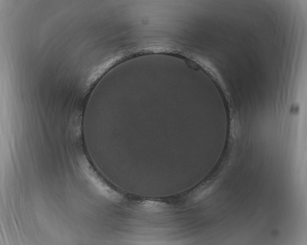 X0000111160393200906301405