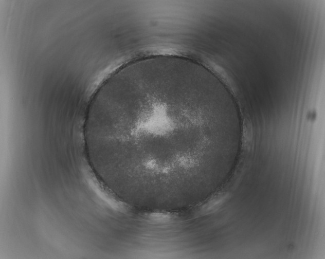 X0000111160394200906301405