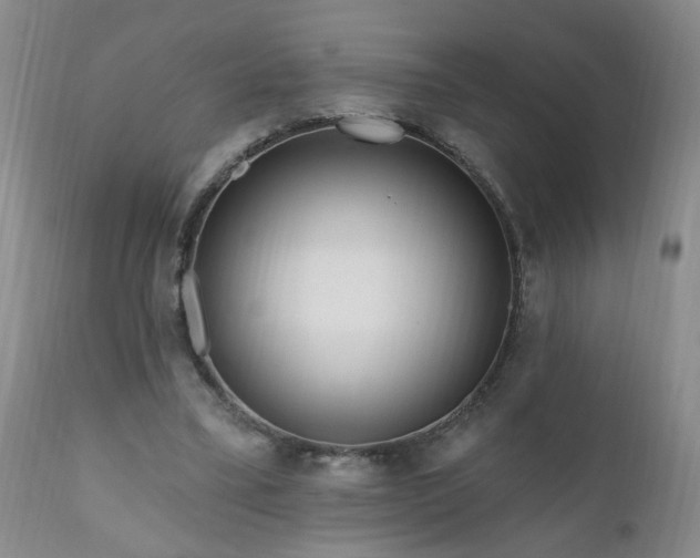 X0000111160395200906301405