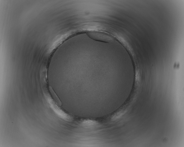 X0000111160397200906301405