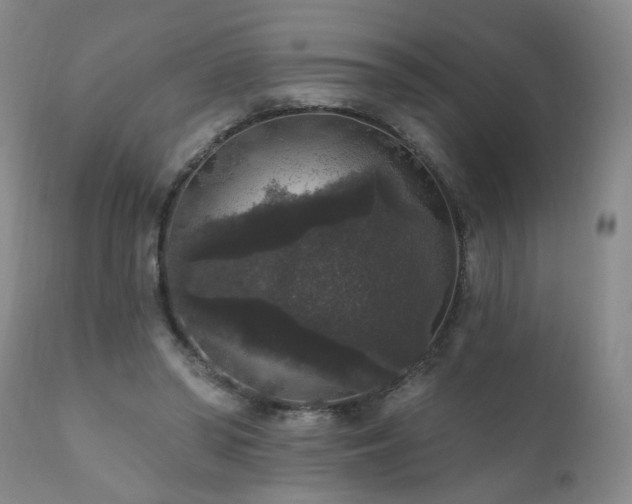 X0000111160398200906301405