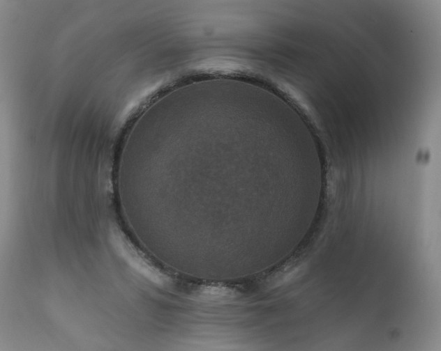 X0000111160399200906301405