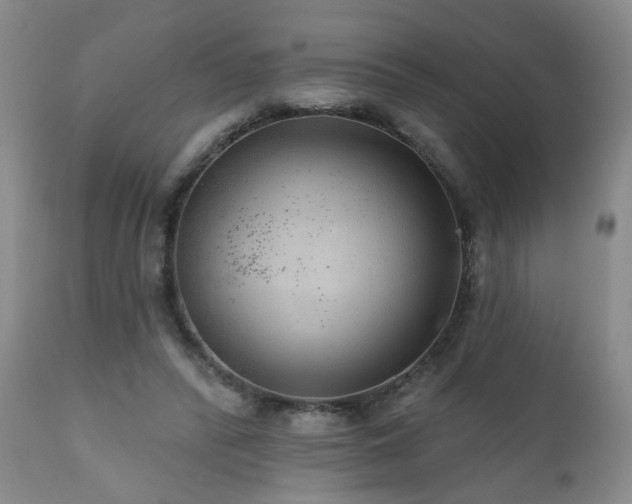 X0000111160400200906301405