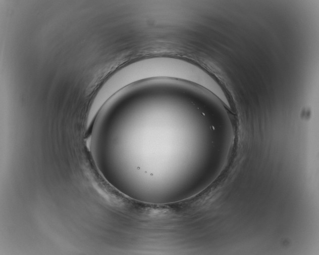 X0000111160401200906301405