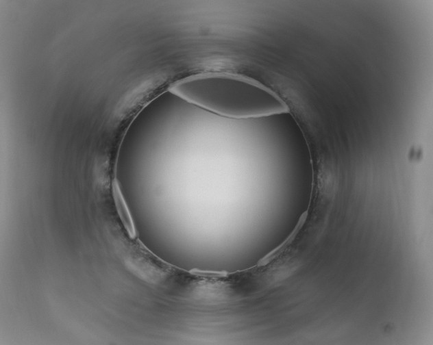 X0000111160403200906301405