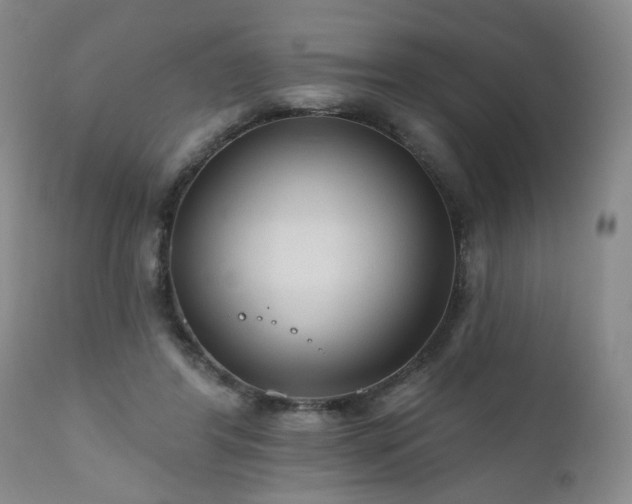 X0000111160404200906301405