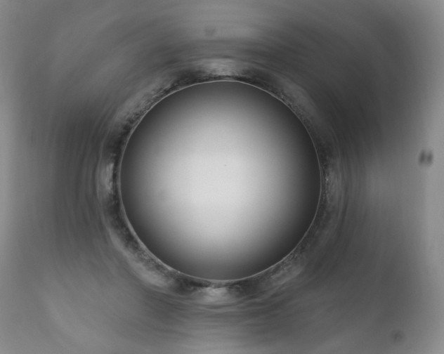 X0000111160406200906301405
