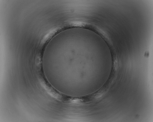 X0000111160407200906301405