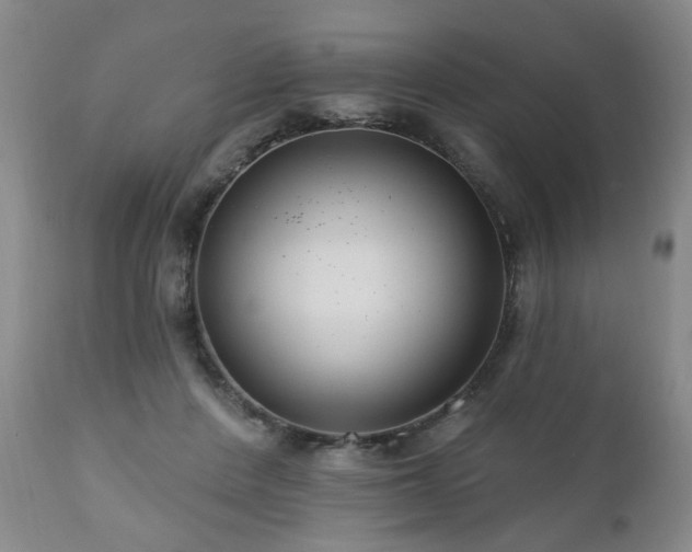 X0000111160408200906301405