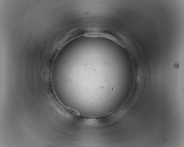X0000111160409200906301405