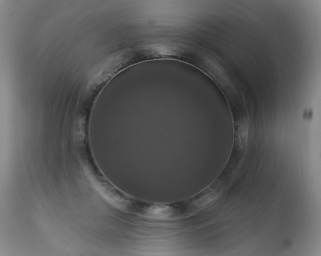 X0000111160410200906301405