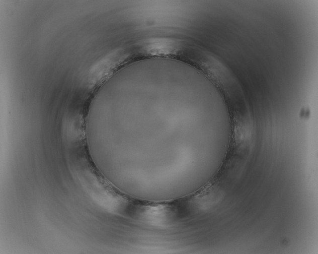 X0000111160411200906301405