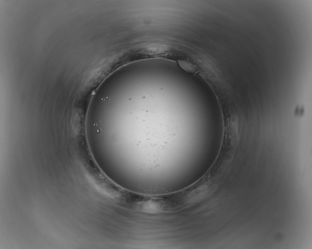 X0000111160412200906301405