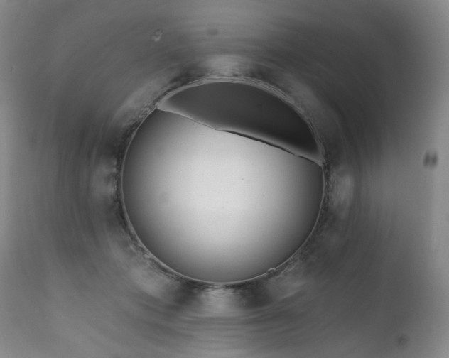 X0000111160413200906301405