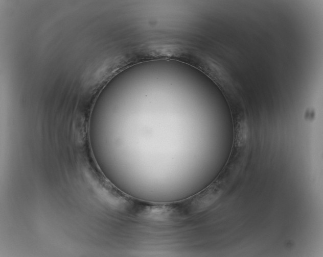 X0000111160414200906301405
